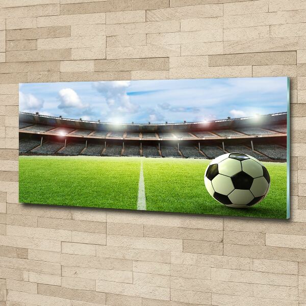 Foto in plexiglas De bal op het veld