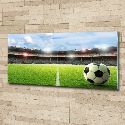 Foto in plexiglas De bal op het veld