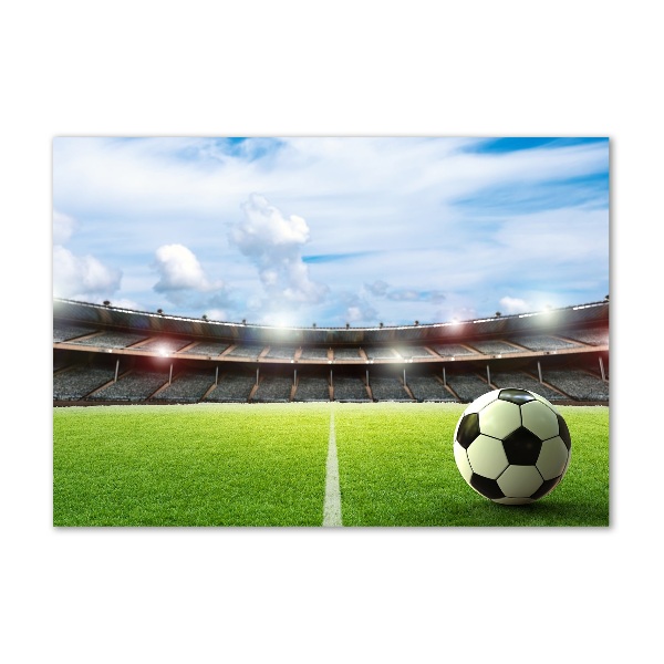 Foto in plexiglas De bal op het veld