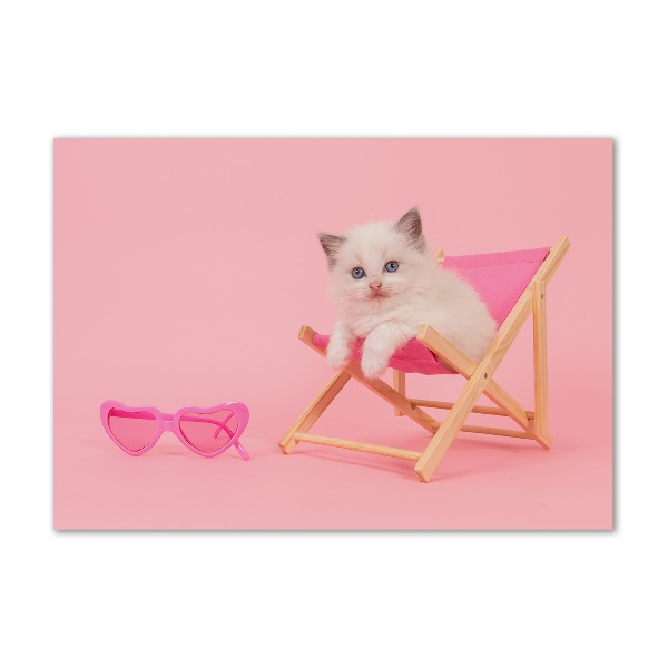 Foto in plexiglas Kat op een ligstoel