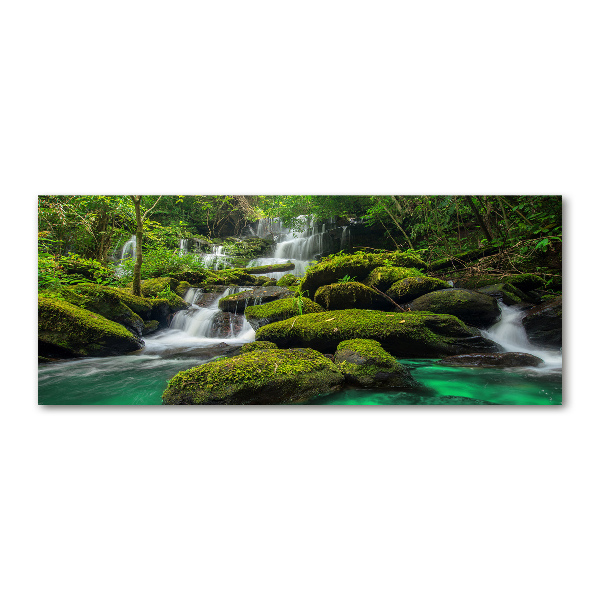 Foto plexiglas Waterval in het bos