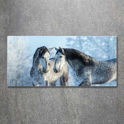 Schilderij op acrylglas Grijze paarden in de winter