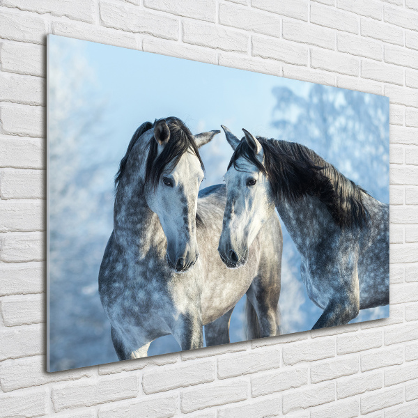 Schilderij op acrylglas Grijze paarden in de winter
