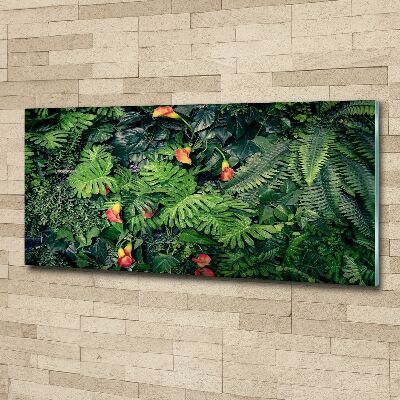 Foto plexiglas Exotische jungle