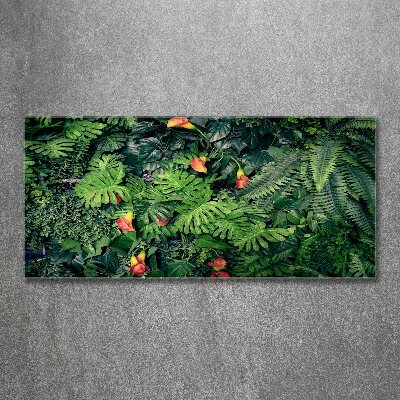 Foto plexiglas Exotische jungle