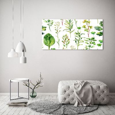 Foto plexiglas Kruiden en onkruid