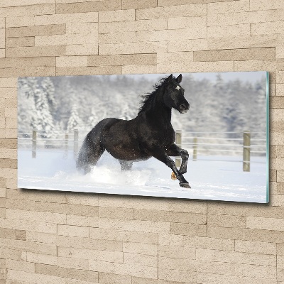 Foto in plexiglas Een paard dat galoppeert in de sneeuw