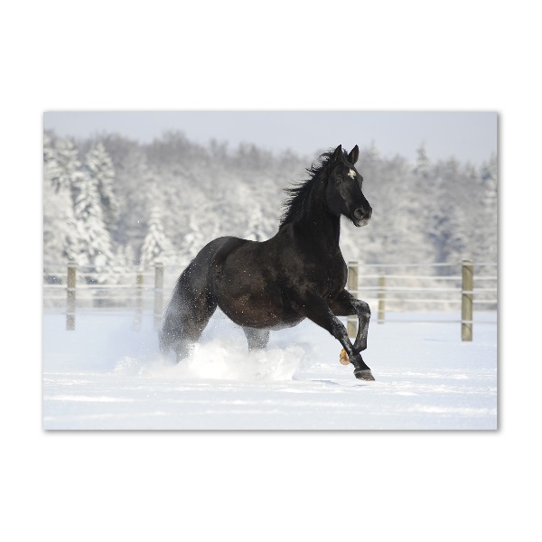 Foto in plexiglas Een paard dat galoppeert in de sneeuw