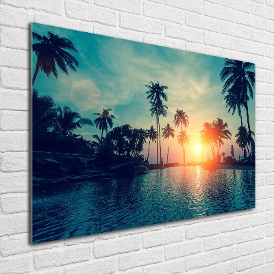 Plexiglas foto Palm Sunset