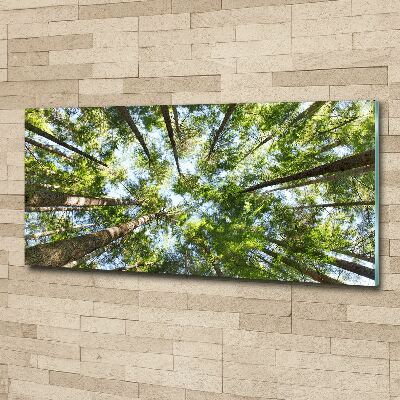 Foto in plexiglas Boomkroon