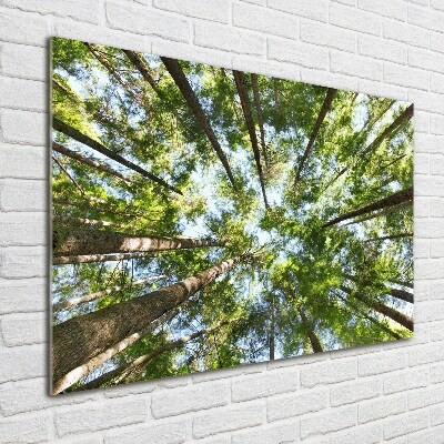 Foto in plexiglas Boomkroon