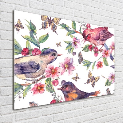 Foto op plexiglas Vogels, vlinders, kersen