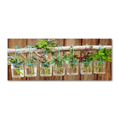 Foto op plexiglas Kruiden in potjes