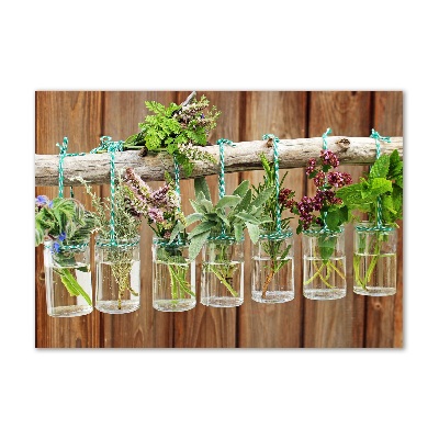 Foto op plexiglas Kruiden in potjes