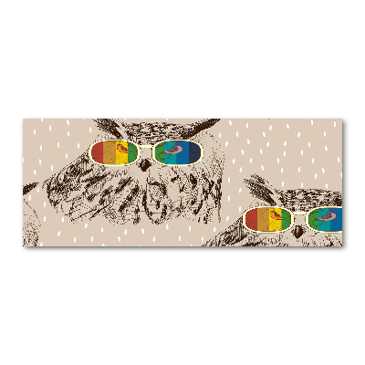 Plexiglas foto Uilen met een bril