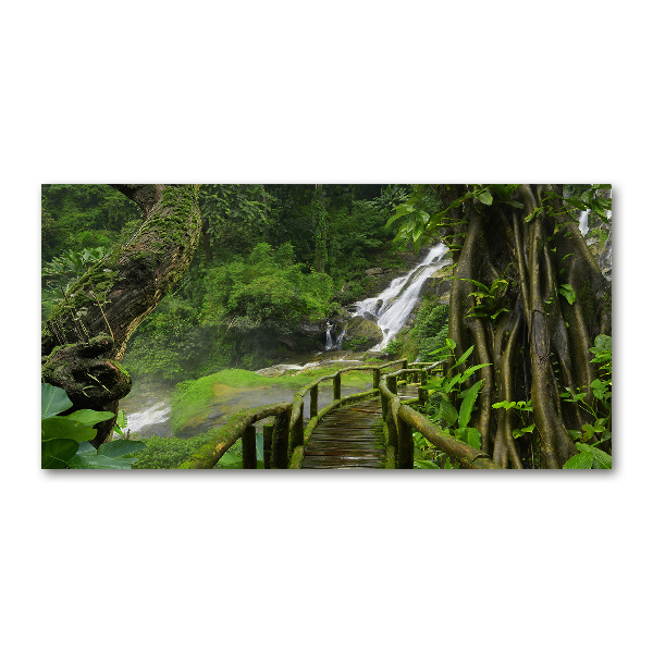 Foto plexiglas Waterval in de jungle