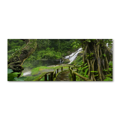 Foto plexiglas Waterval in de jungle