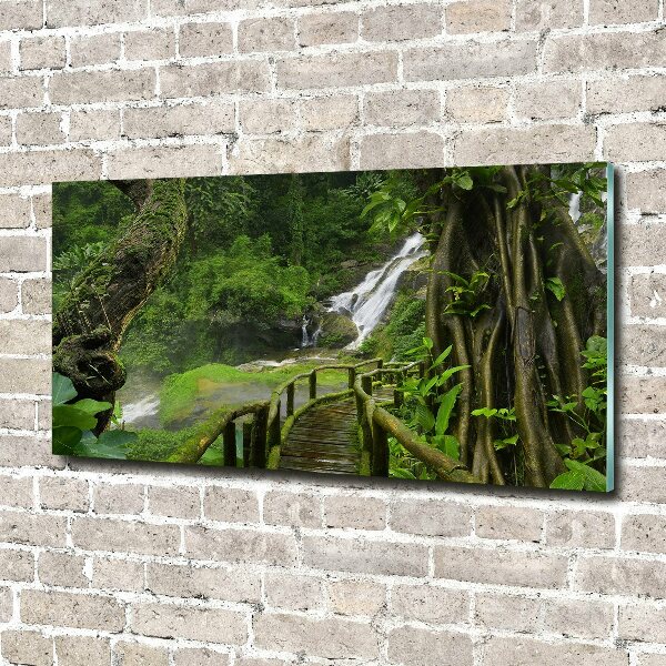 Foto plexiglas Waterval in de jungle