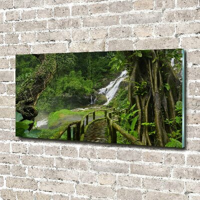 Foto plexiglas Waterval in de jungle