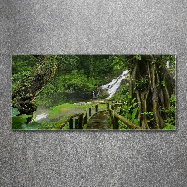 Foto plexiglas Waterval in de jungle