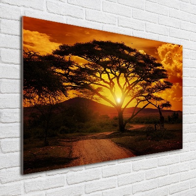 Foto in plexiglas West-Afrika