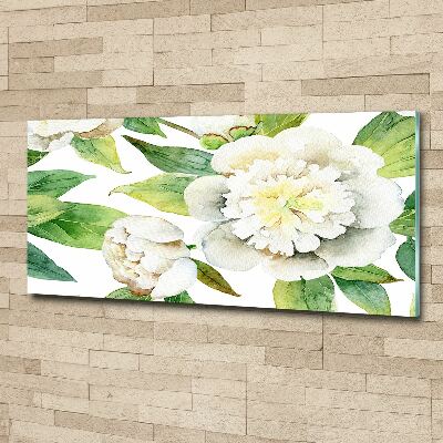 Foto op plexiglas Pioenrozen