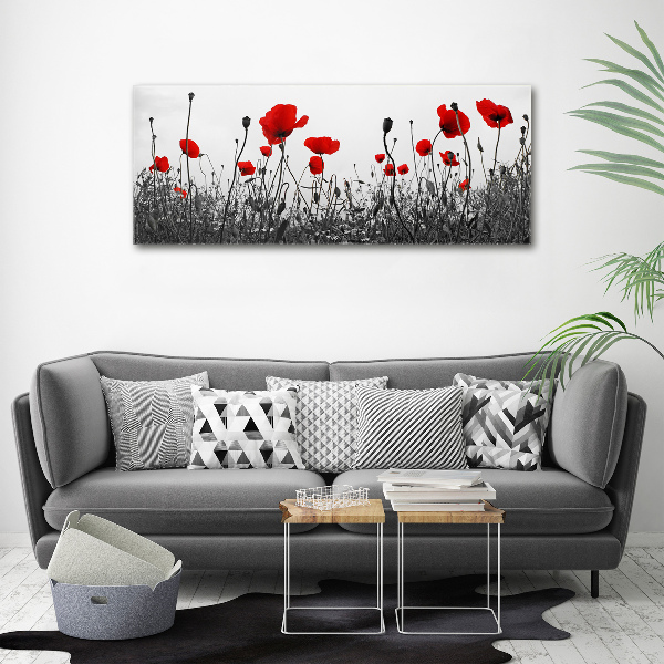 Plexiglas schilderij Klaprozen