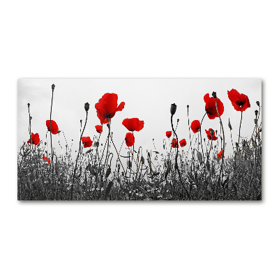 Plexiglas schilderij Klaprozen