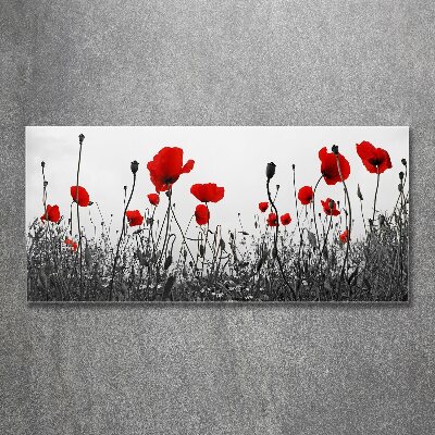 Plexiglas schilderij Klaprozen