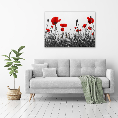 Plexiglas schilderij Klaprozen