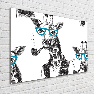 Foto in plexiglas Giraffe met bril