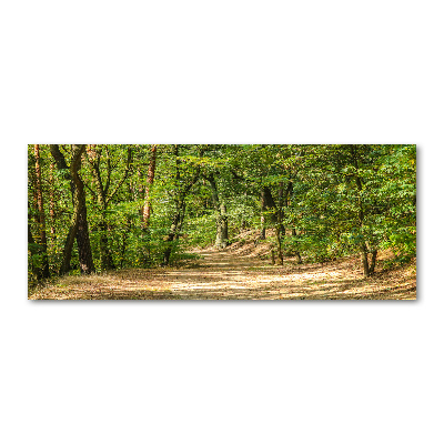 Foto obraz szkło akryl Leśna ścieżka