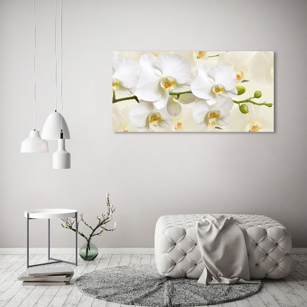 Foto plexiglas Orchidee