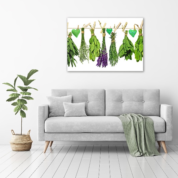 Obraz zdjęcie szkło akryl Zioła na sznurku