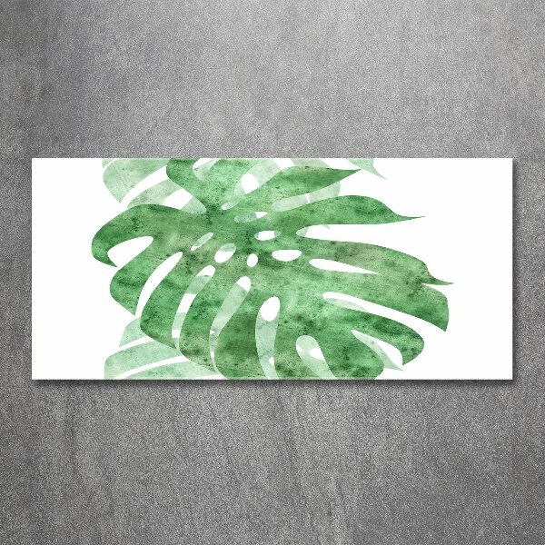 Obraz zdjęcie na ścianę akryl Monstera