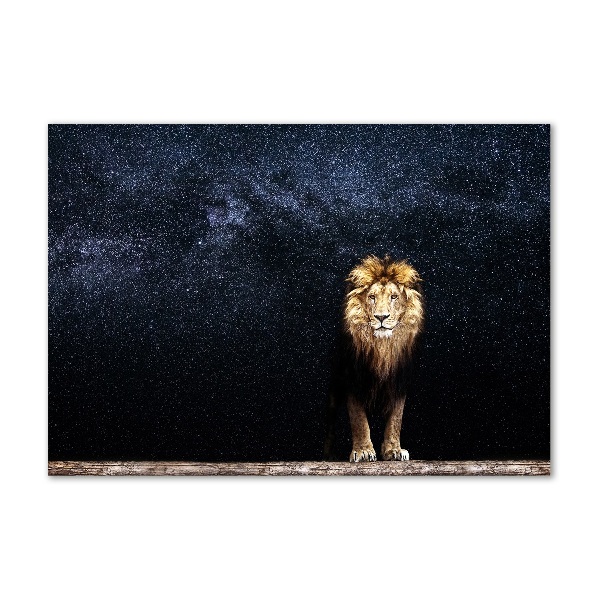 Foto obraz szkło akryl Lew na tle gwiazd
