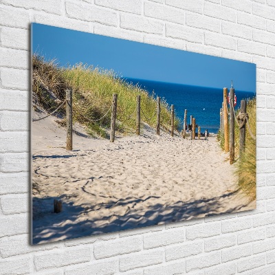 Foto op plexiglas duinen aan zee