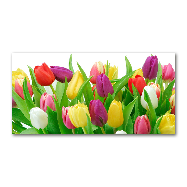 Schilderij op acrylglas Kleurrijke tulpen