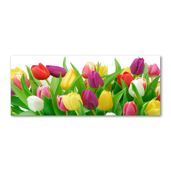 Schilderij op acrylglas Kleurrijke tulpen