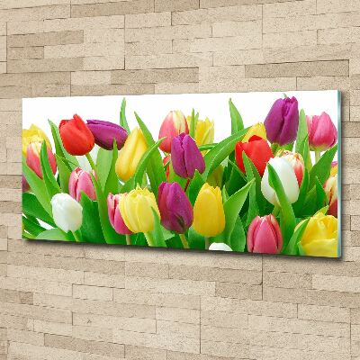 Foto obraz szkło akryl Kolorowe tulipany