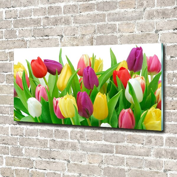 Schilderij op acrylglas Kleurrijke tulpen