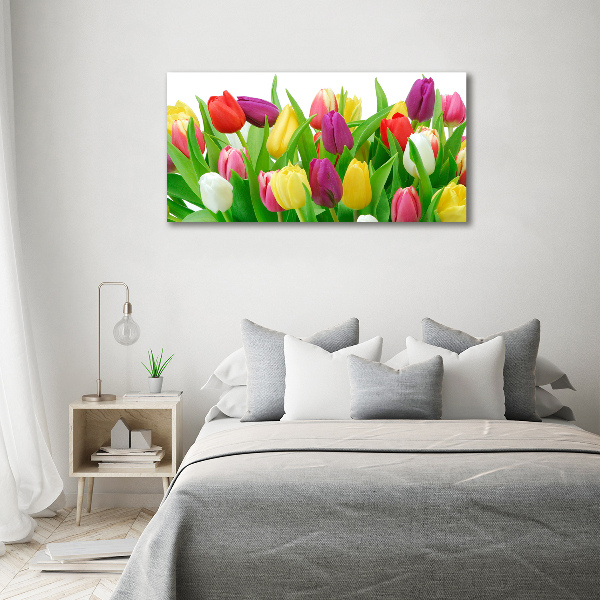 Schilderij op acrylglas Kleurrijke tulpen