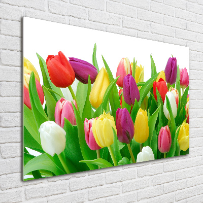 Schilderij op acrylglas Kleurrijke tulpen