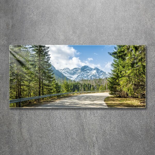 Foto op plexiglas Tatra-gebergteweg