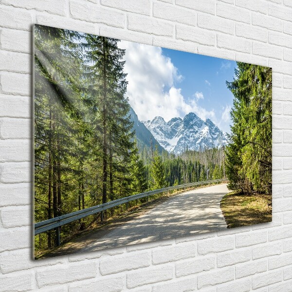 Foto op plexiglas Tatra-gebergteweg
