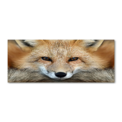 Foto in plexiglas Vos