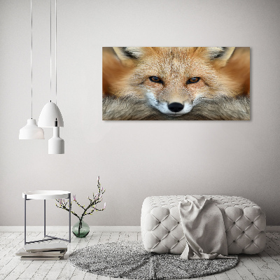 Foto in plexiglas Vos