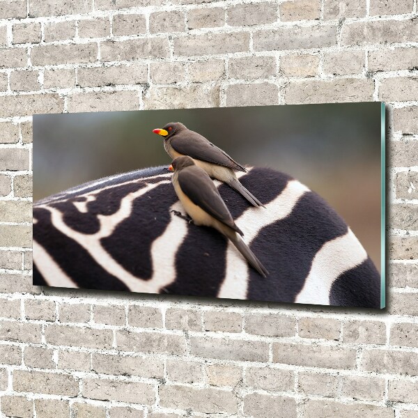 Schilderij op acrylglas Vogels en zebra's