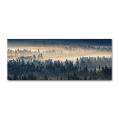 Foto in plexiglas Mist boven het bos