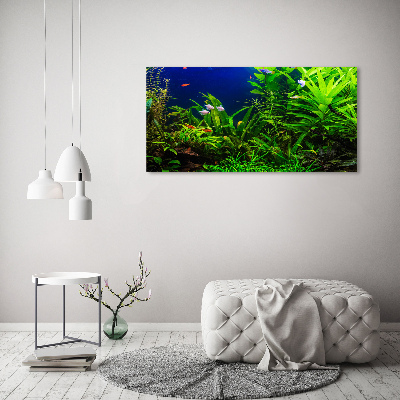 Schilderij op acrylglas Vissen in het aquarium